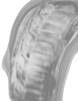 Dunlop SP Sport Maxx RT