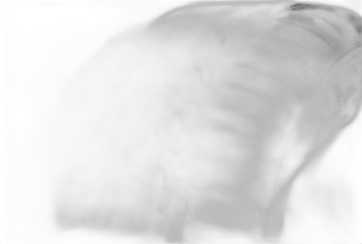 Dunlop Sport BluResponse