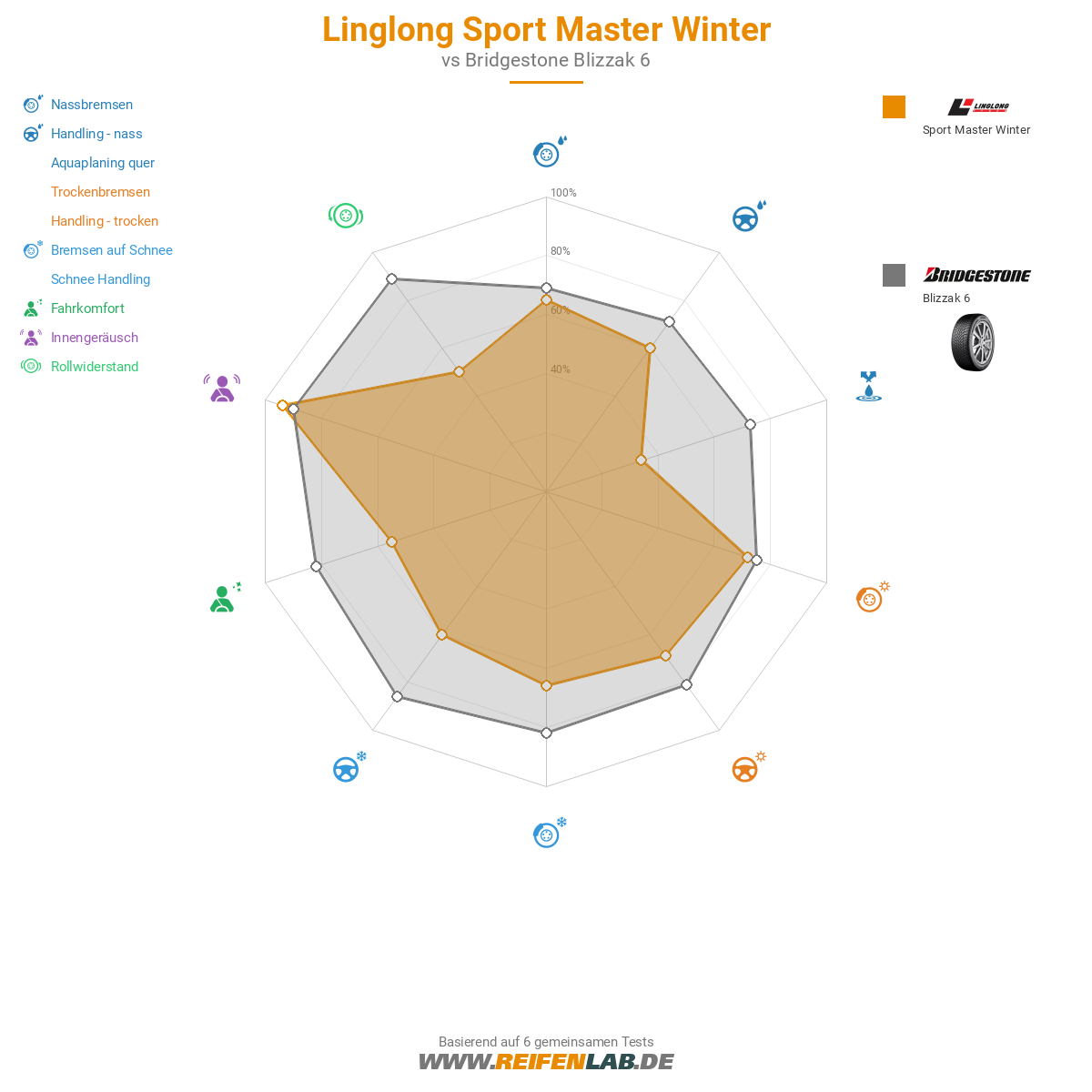 Linglong Sport Master Winter Bild