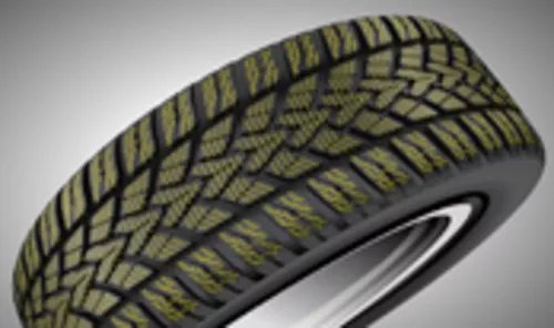 Dunlop SP Winter Response 2 Vorschaubild 174x103
