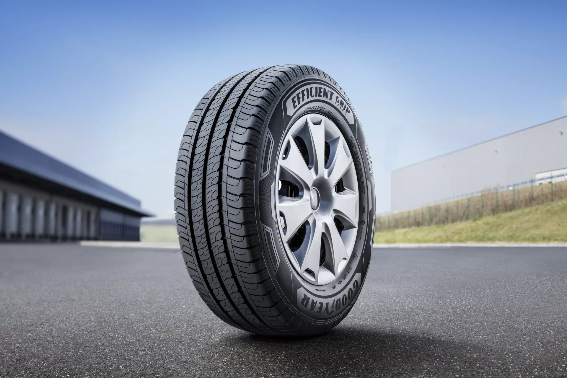 Goodyear Efficientgrip Cargo Bild