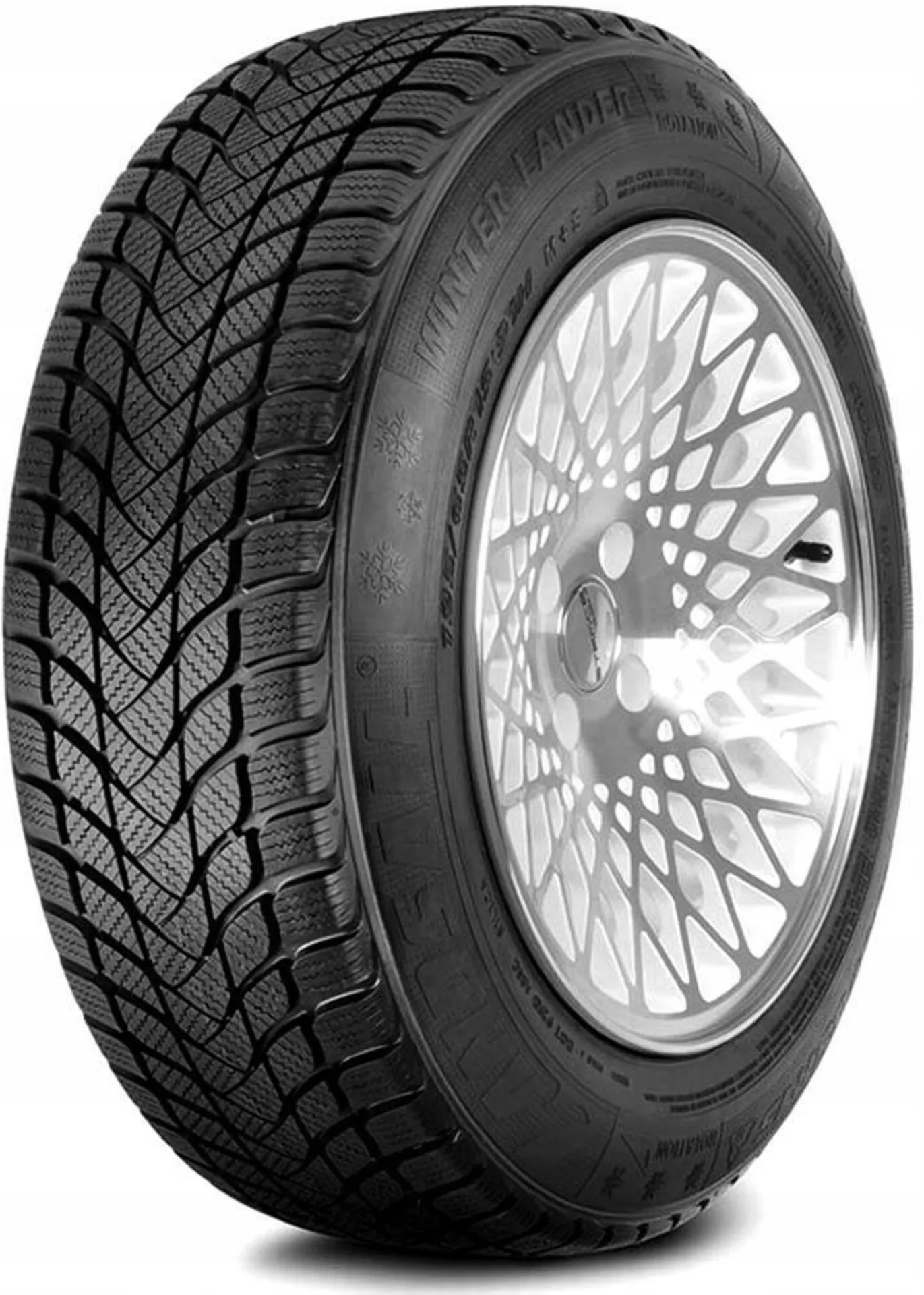 Landsail Winter Lander Bild