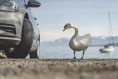 Nokian Seasonproof Vorschaubild 9232x6155