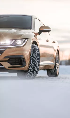 Nokian WR Snowproof Vorschaubild 644x1079