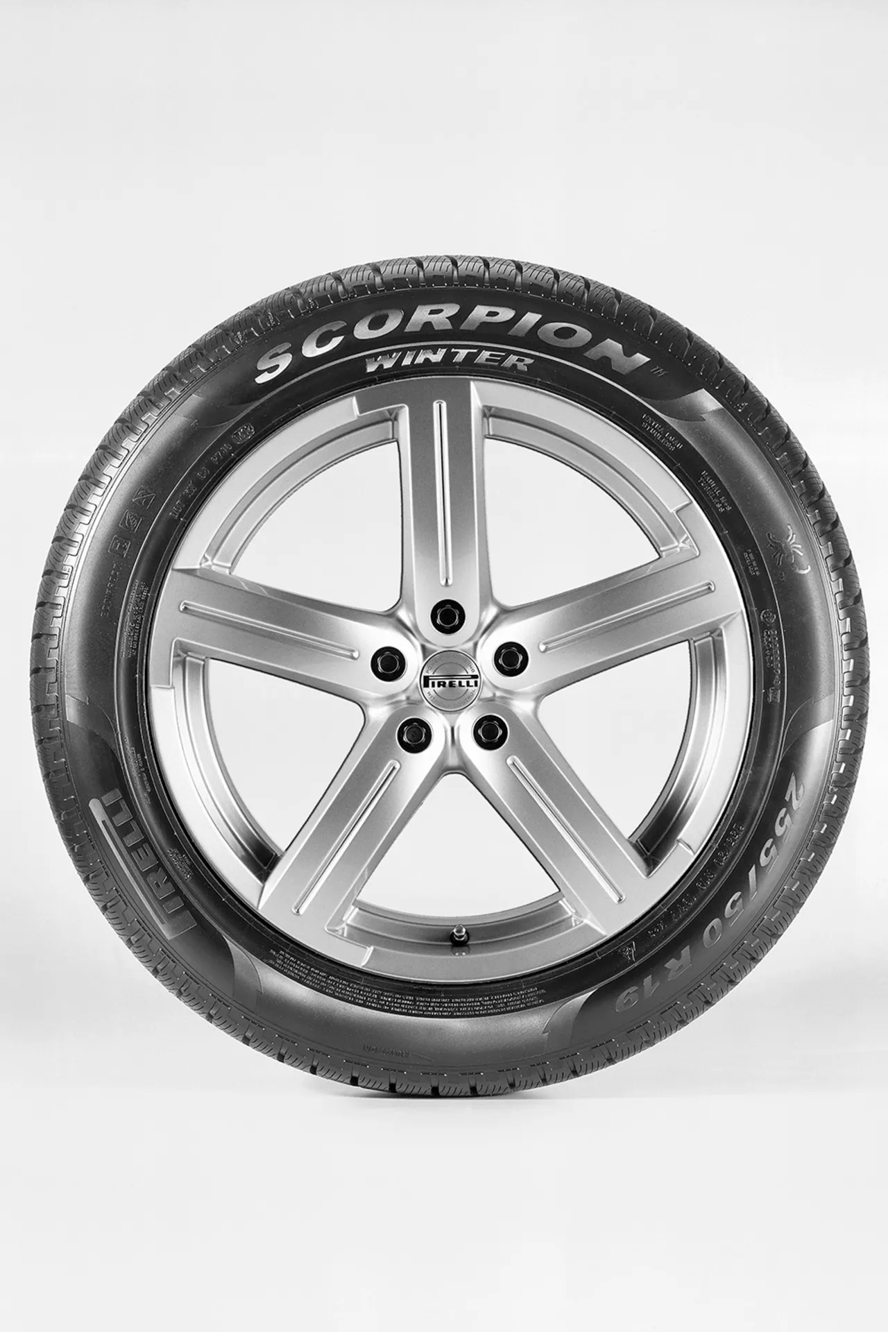 Pirelli Scorpion Winter Bild