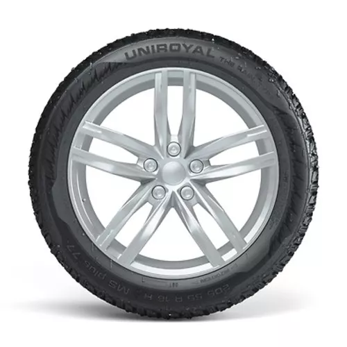 Uniroyal RainExpert Vorschaubild 395x395